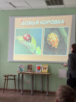 Хочу все знать! Хочу все знать!.